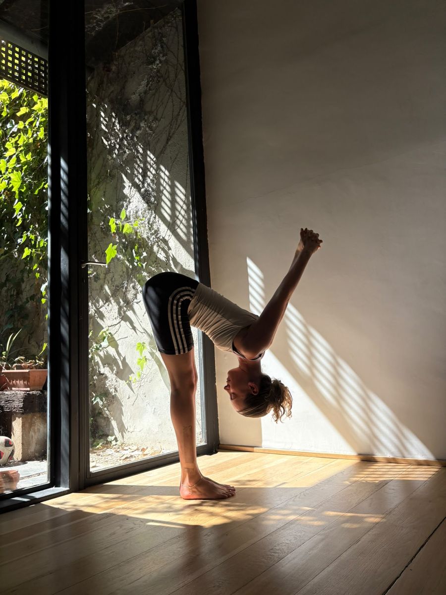 Cos en una flexión de pie junto a una ventana iluminada